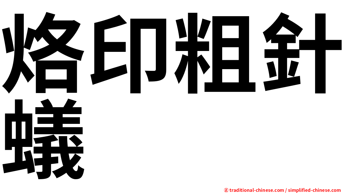 烙印粗針蟻
