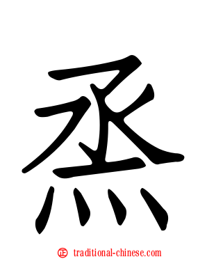 烝
