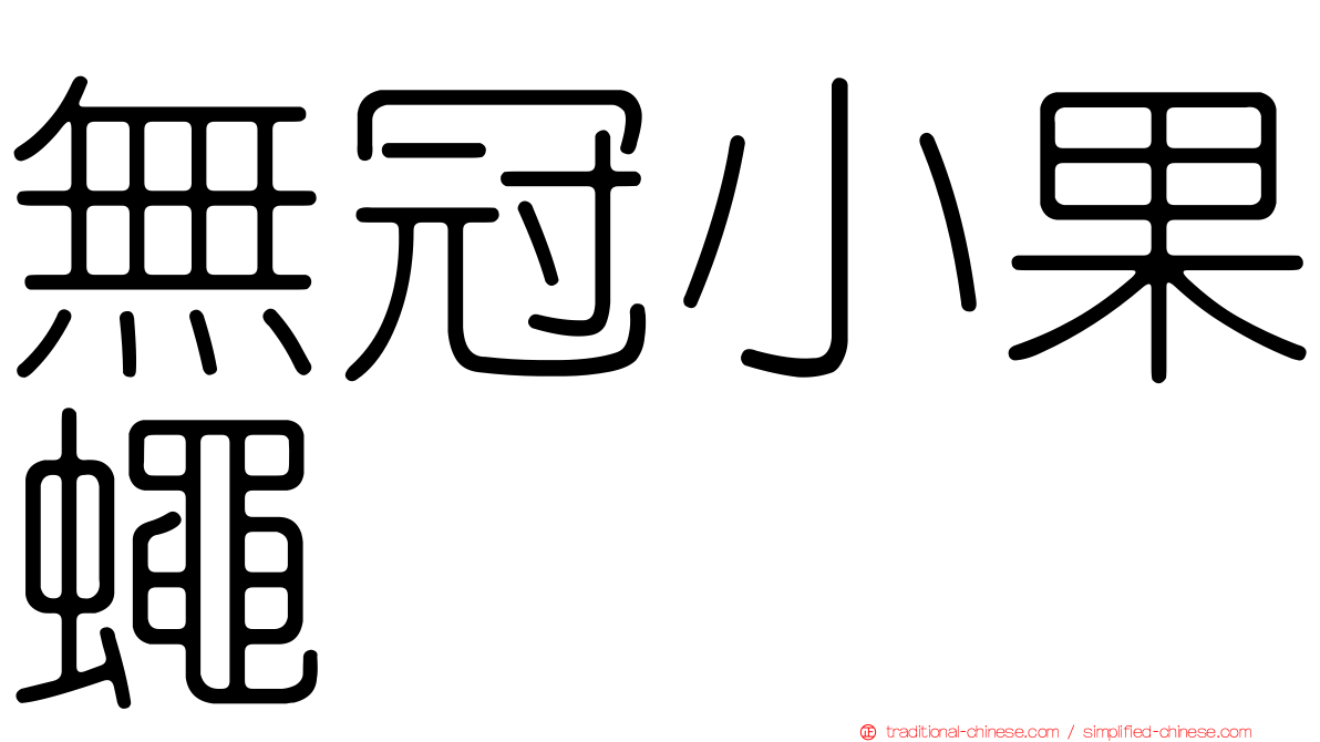 無冠小果蠅