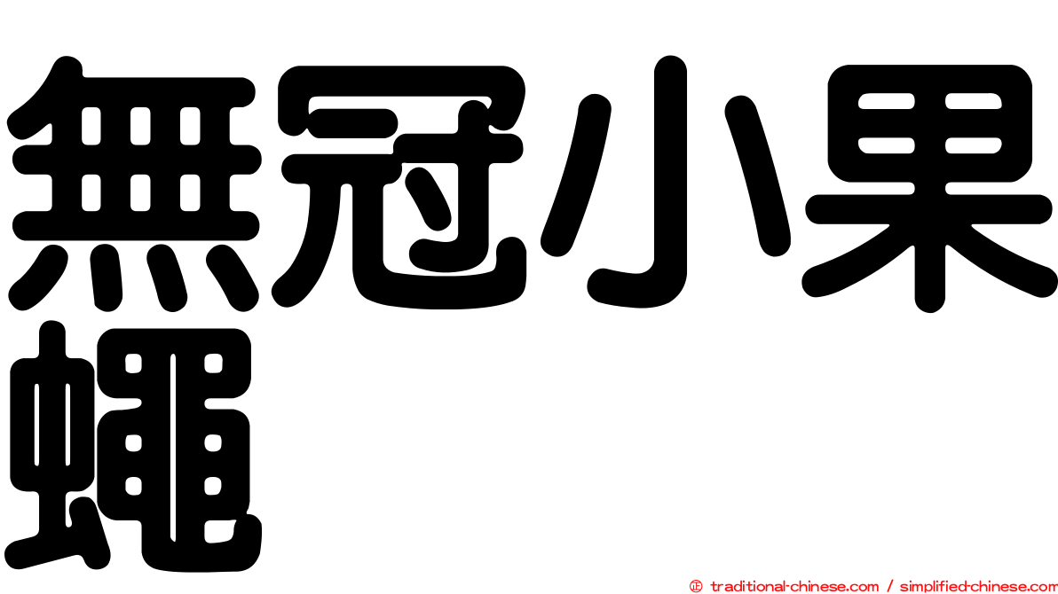 無冠小果蠅