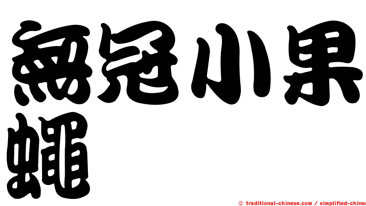 無冠小果蠅