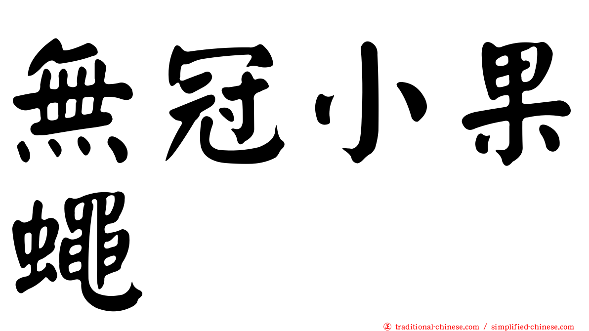 無冠小果蠅