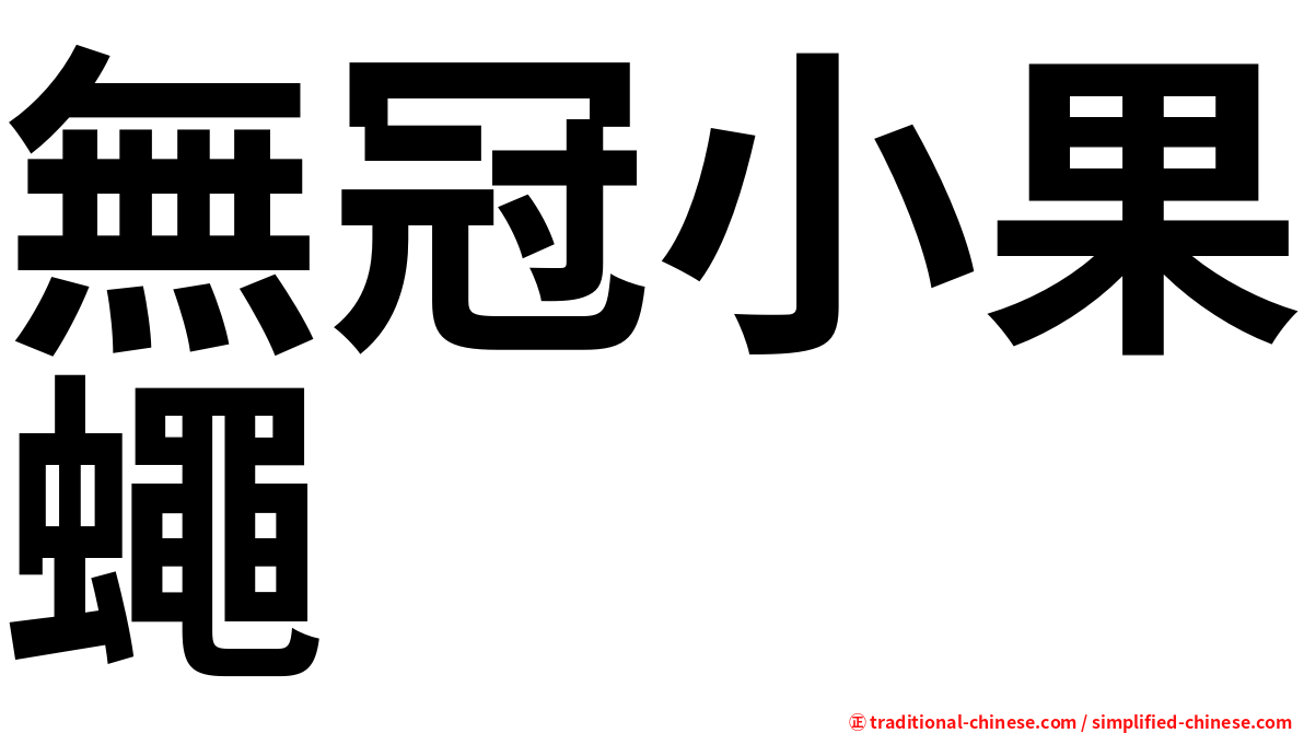 無冠小果蠅