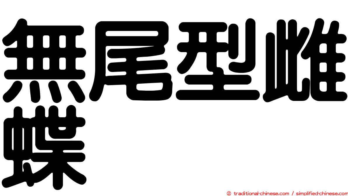 無尾型雌蝶