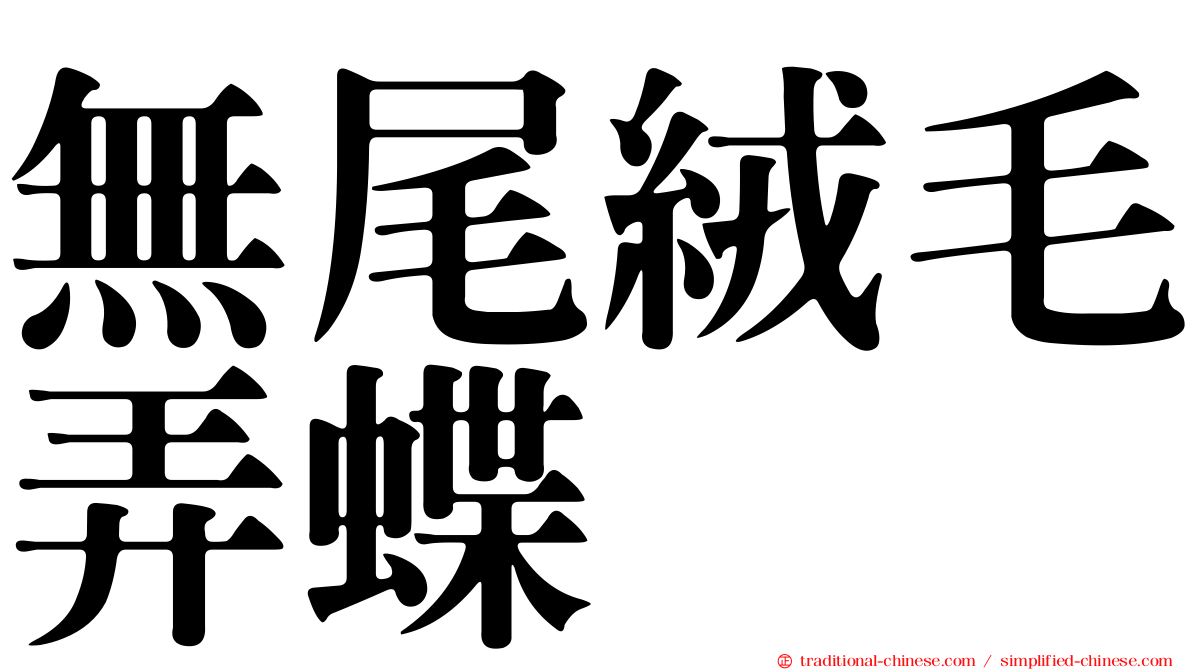 無尾絨毛弄蝶
