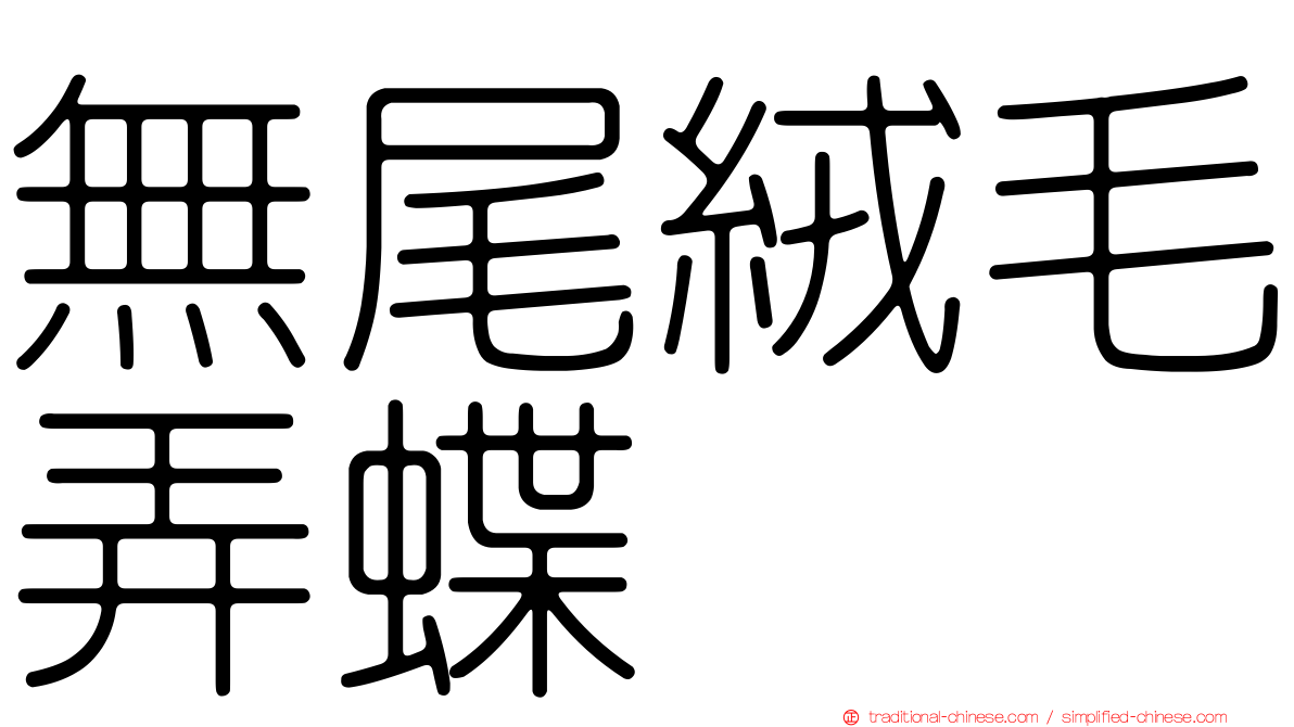 無尾絨毛弄蝶