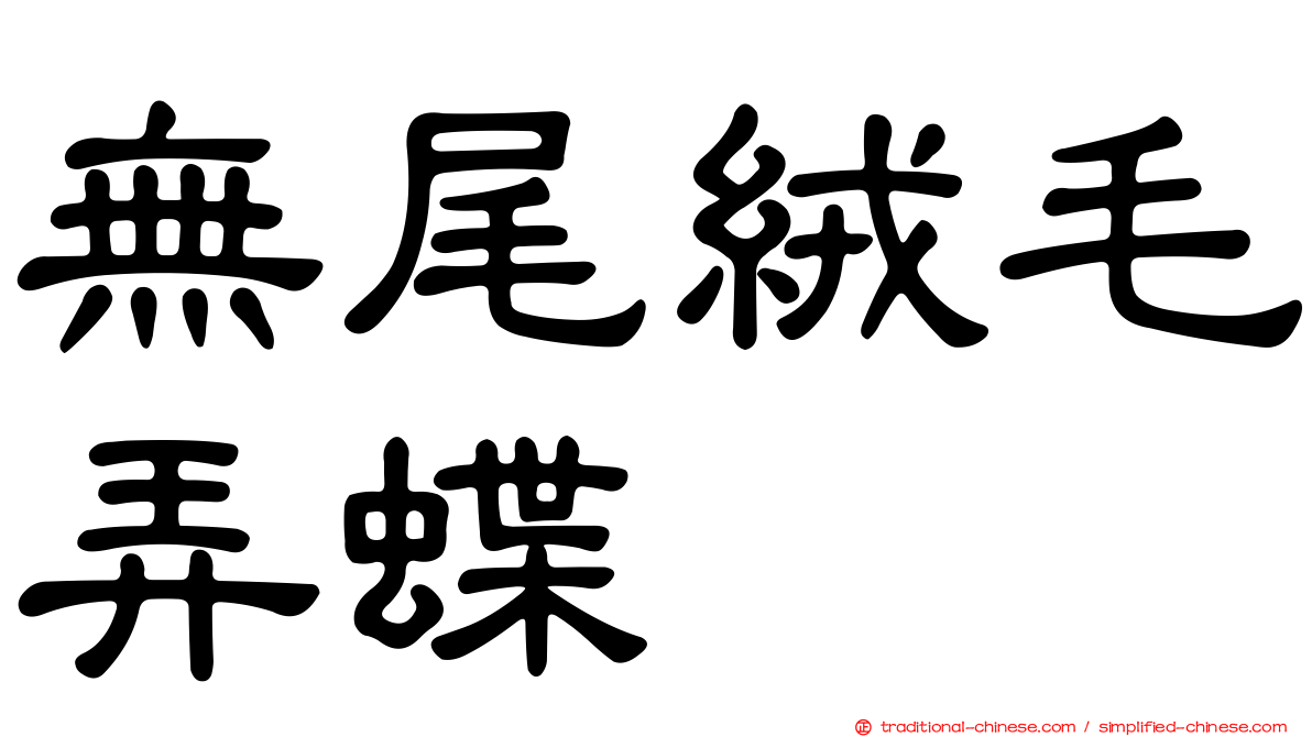 無尾絨毛弄蝶