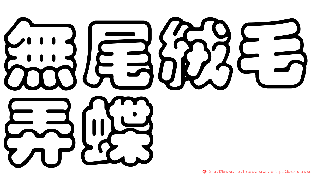 無尾絨毛弄蝶