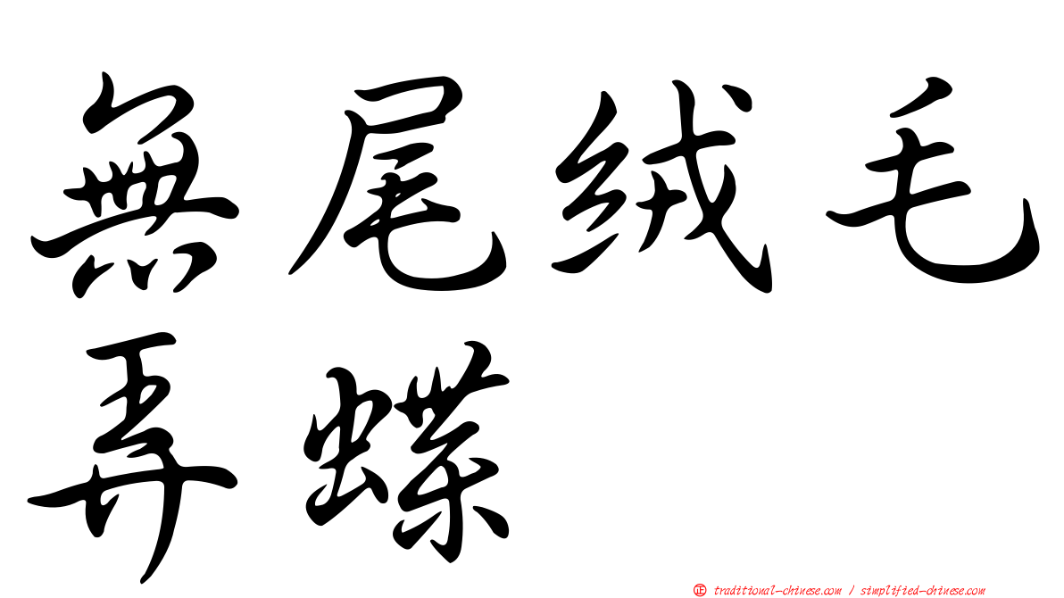 無尾絨毛弄蝶