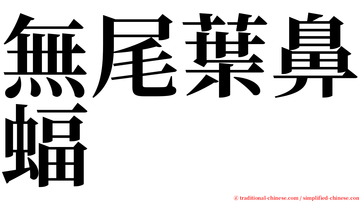 無尾葉鼻蝠 serif font