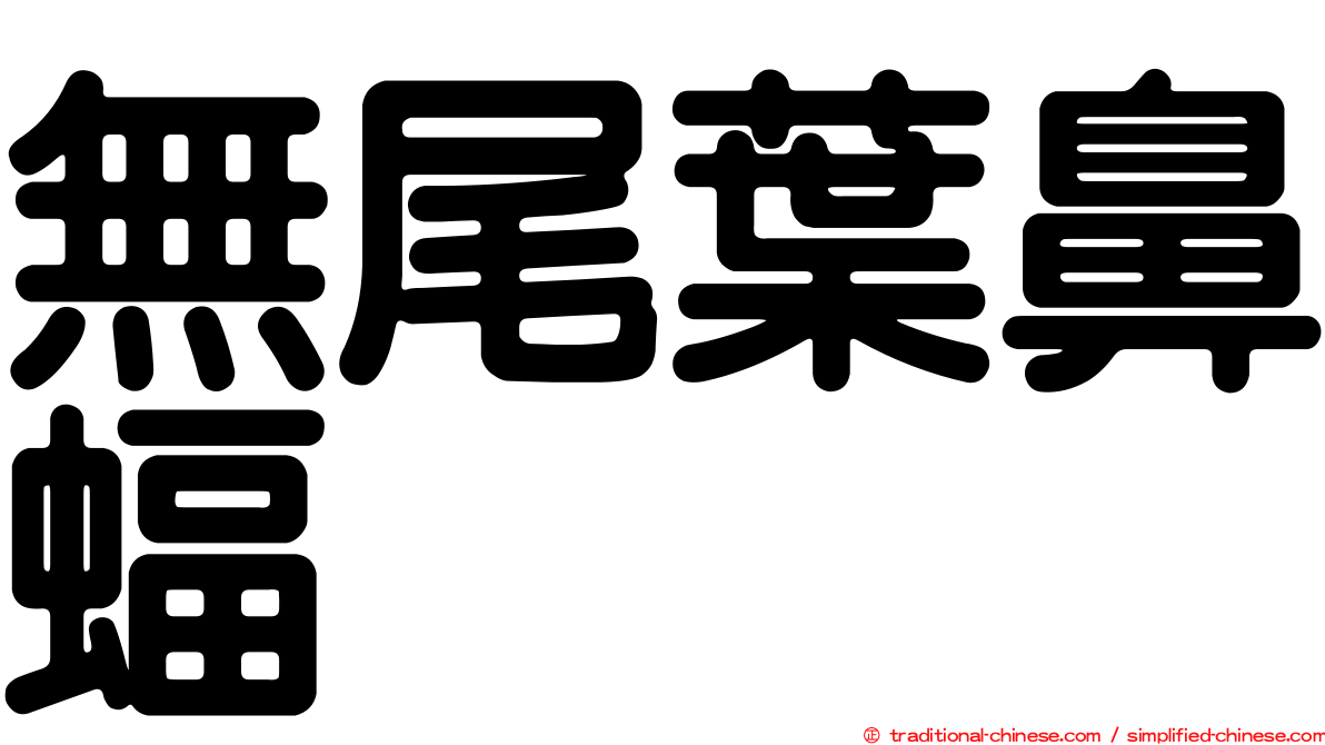 無尾葉鼻蝠