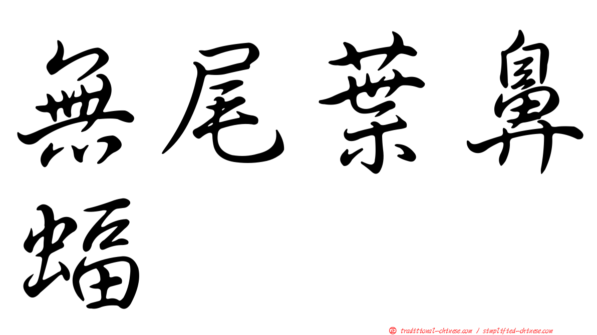 無尾葉鼻蝠