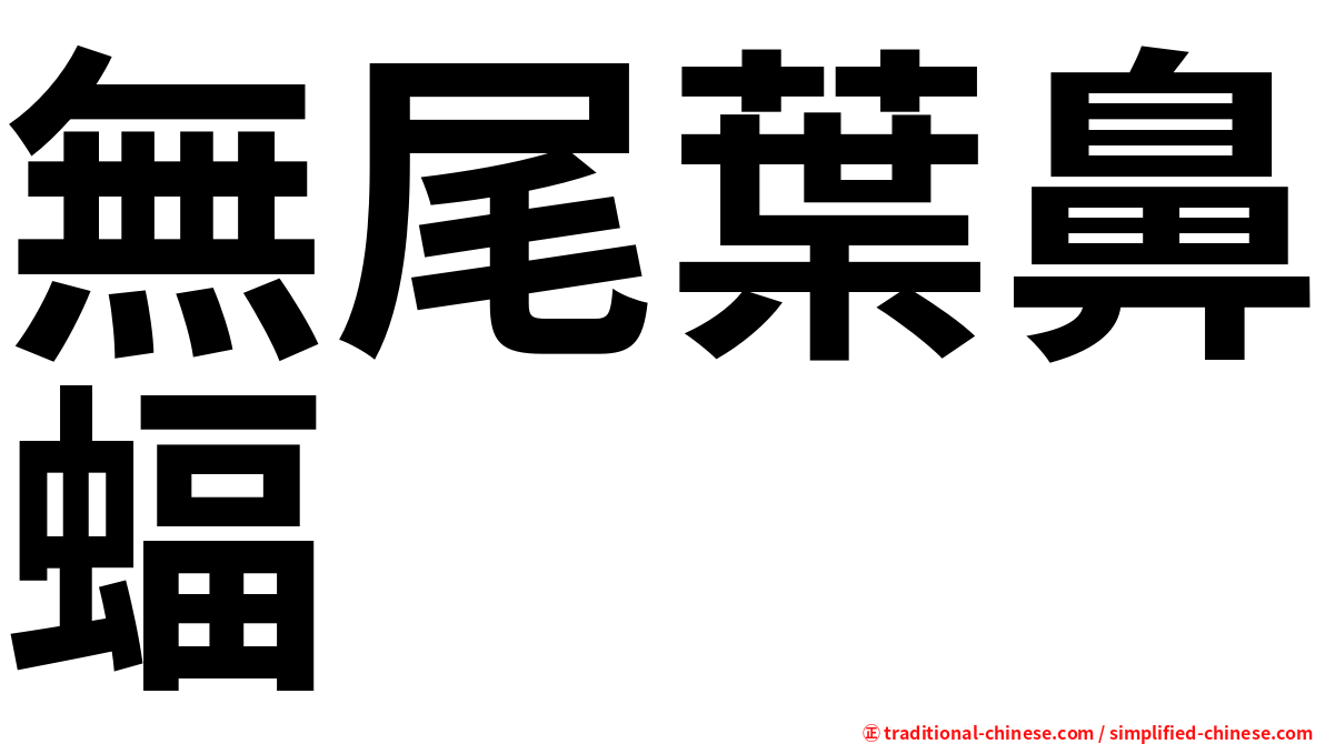 無尾葉鼻蝠