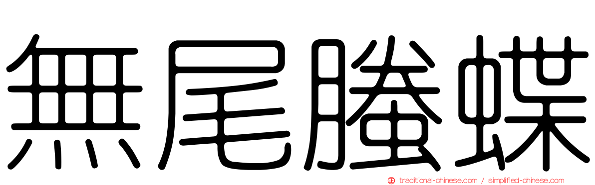無尾螣蝶