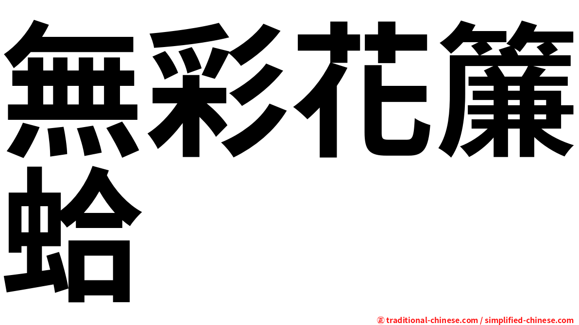 無彩花簾蛤