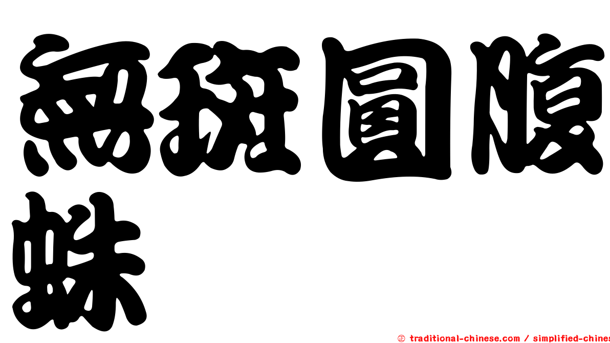 無斑圓腹蛛