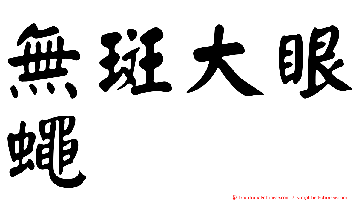 無斑大眼蠅