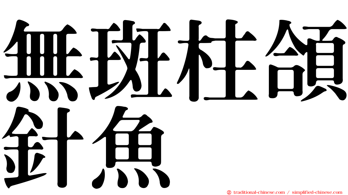 無斑柱頜針魚