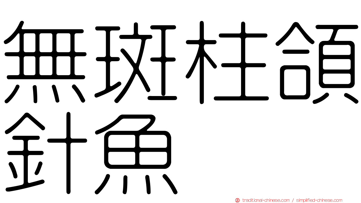 無斑柱頜針魚