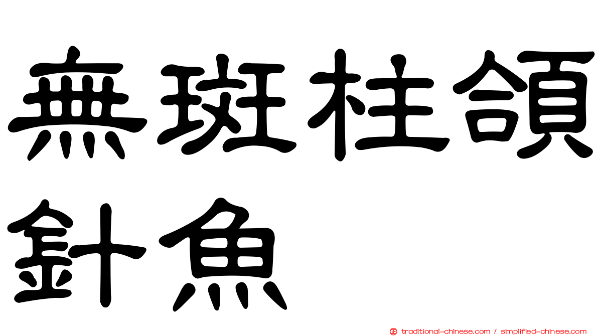 無斑柱頜針魚