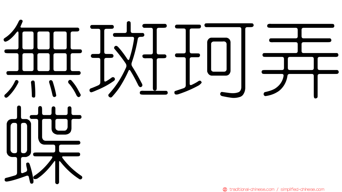 無斑珂弄蝶