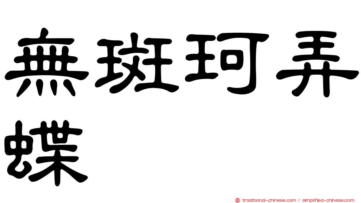 無斑珂弄蝶