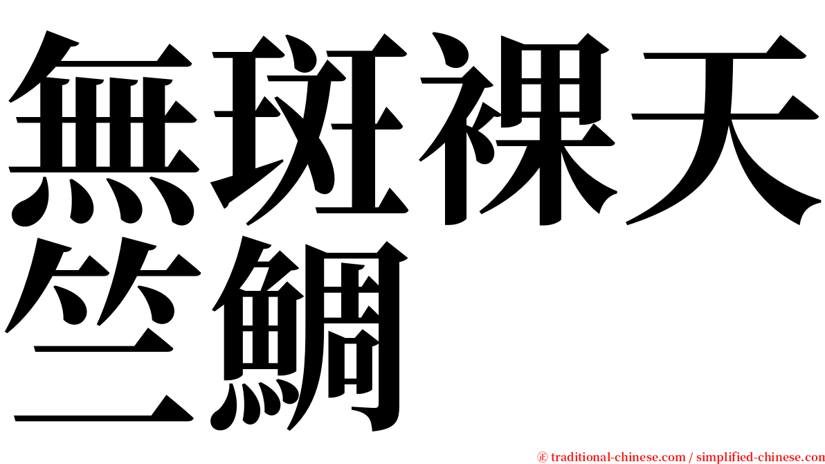 無斑裸天竺鯛 serif font