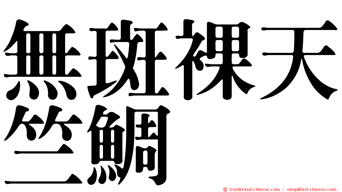 無斑裸天竺鯛