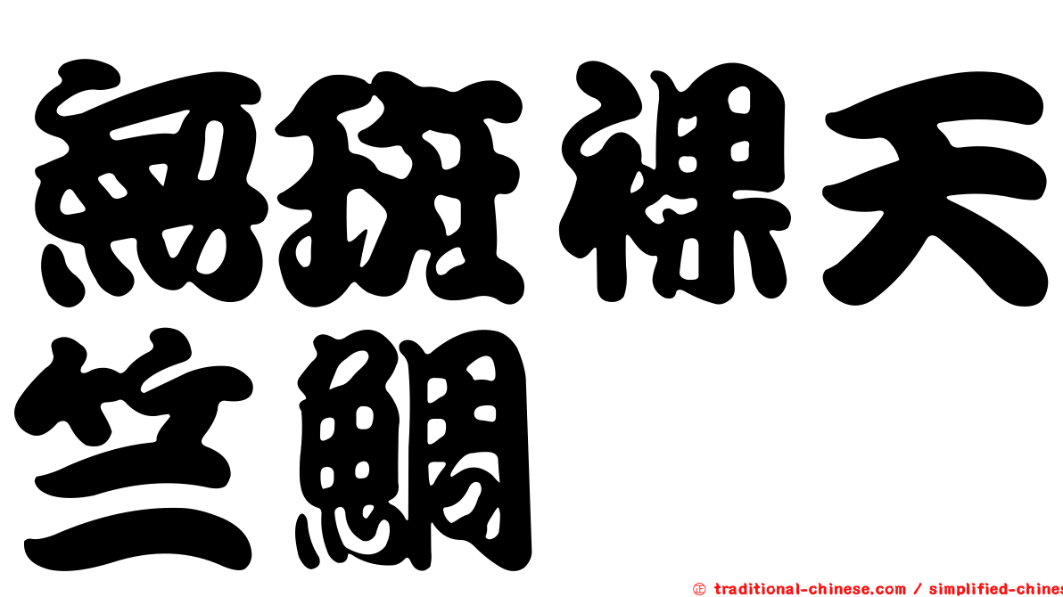 無斑裸天竺鯛