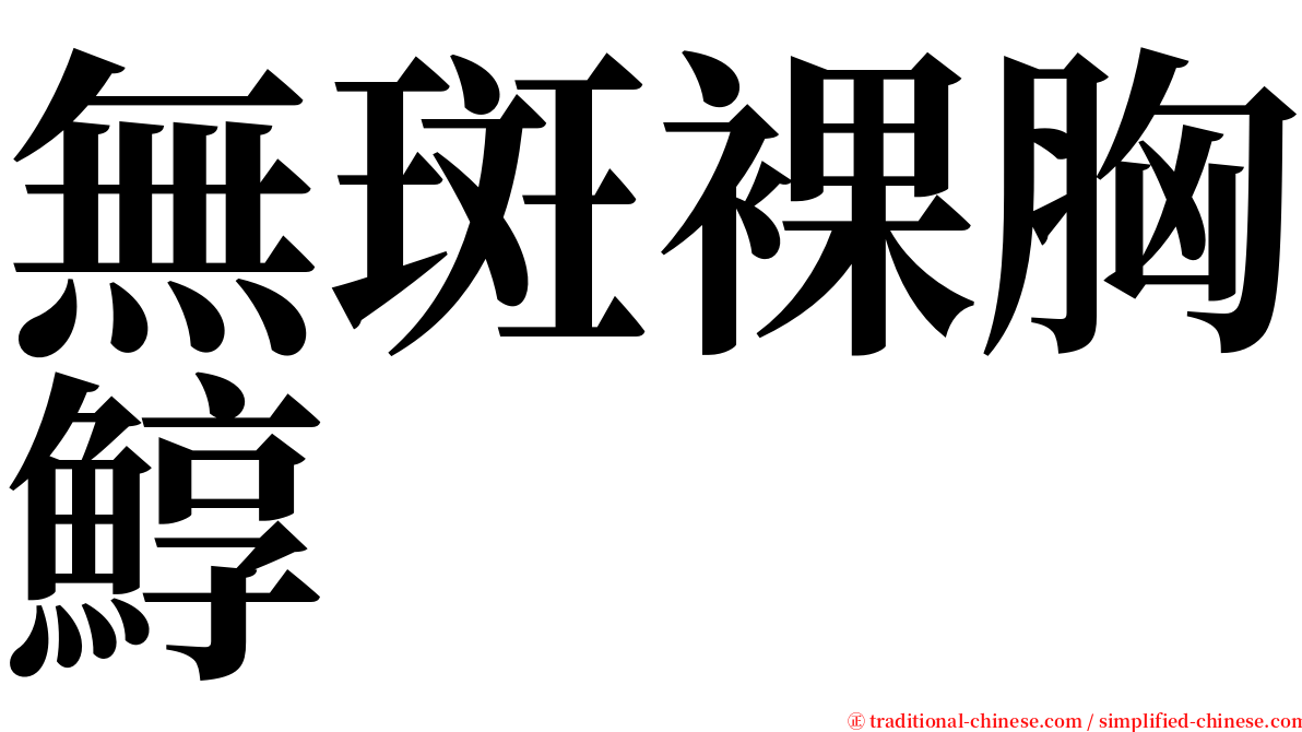 無斑裸胸鯙 serif font