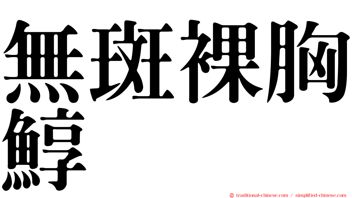 無斑裸胸鯙