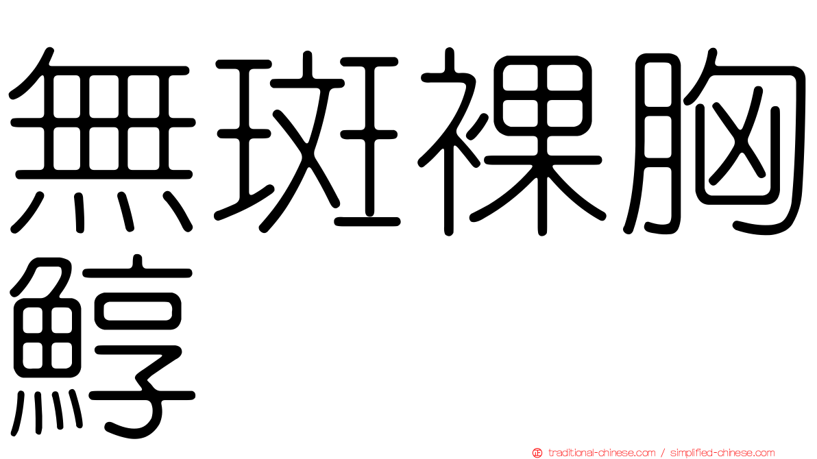 無斑裸胸鯙