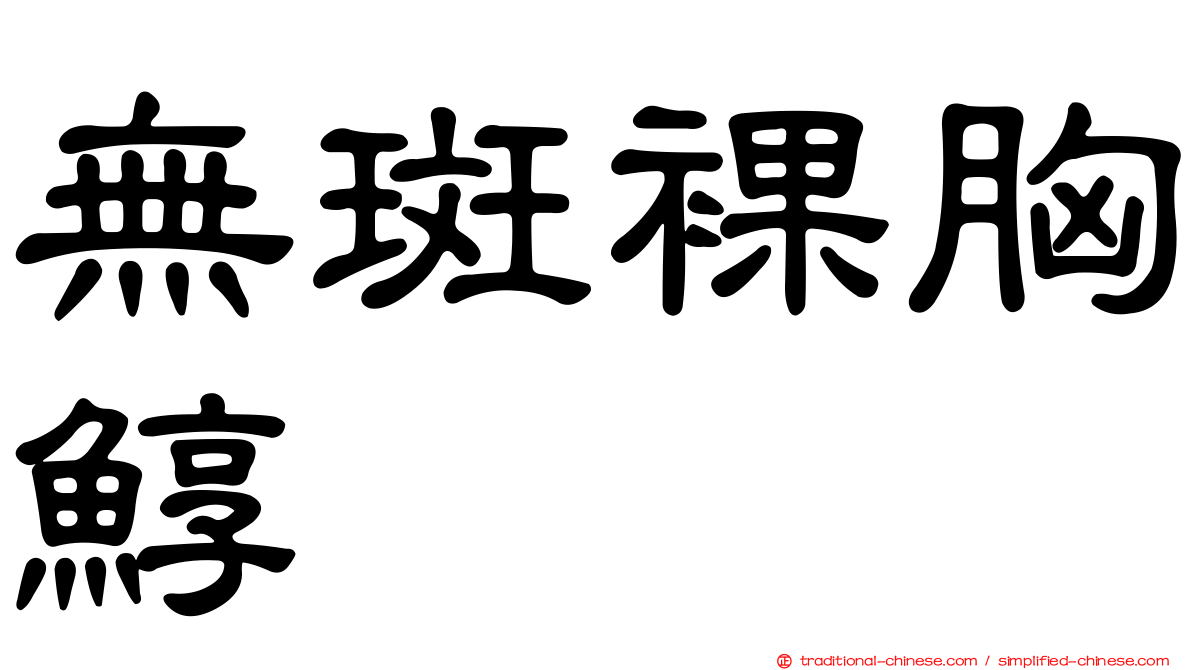 無斑裸胸鯙