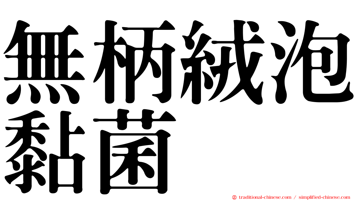 無柄絨泡黏菌