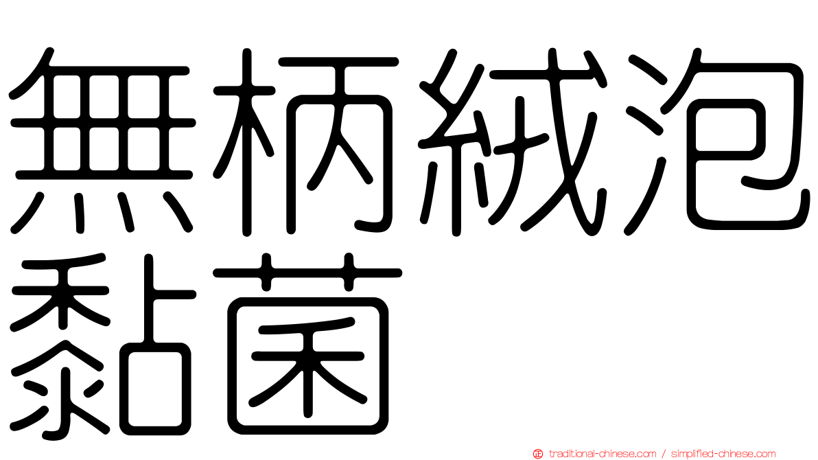無柄絨泡黏菌
