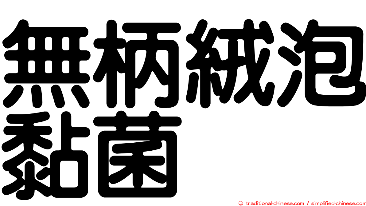 無柄絨泡黏菌