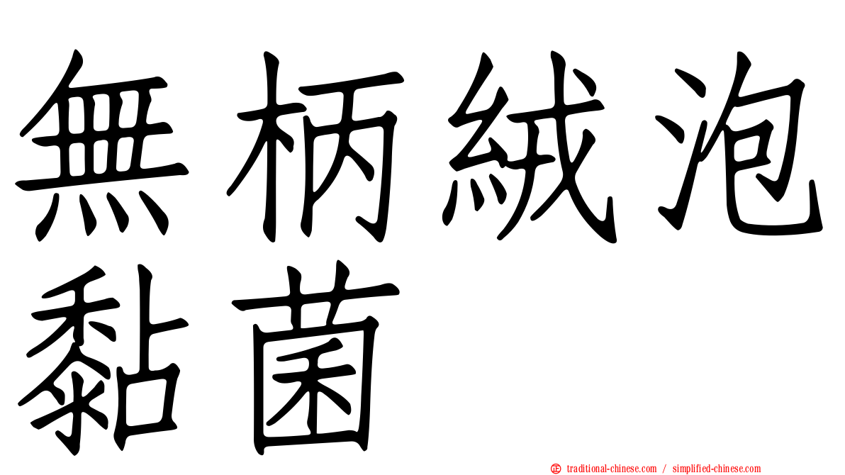 無柄絨泡黏菌