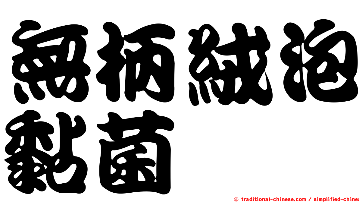 無柄絨泡黏菌