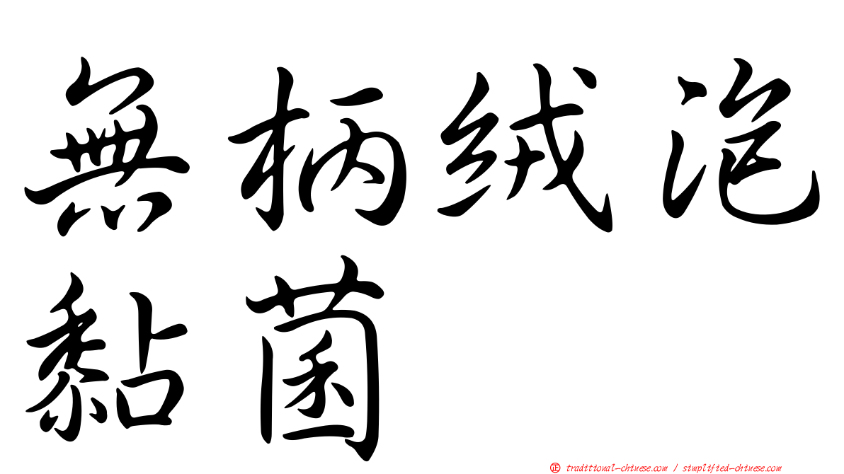 無柄絨泡黏菌