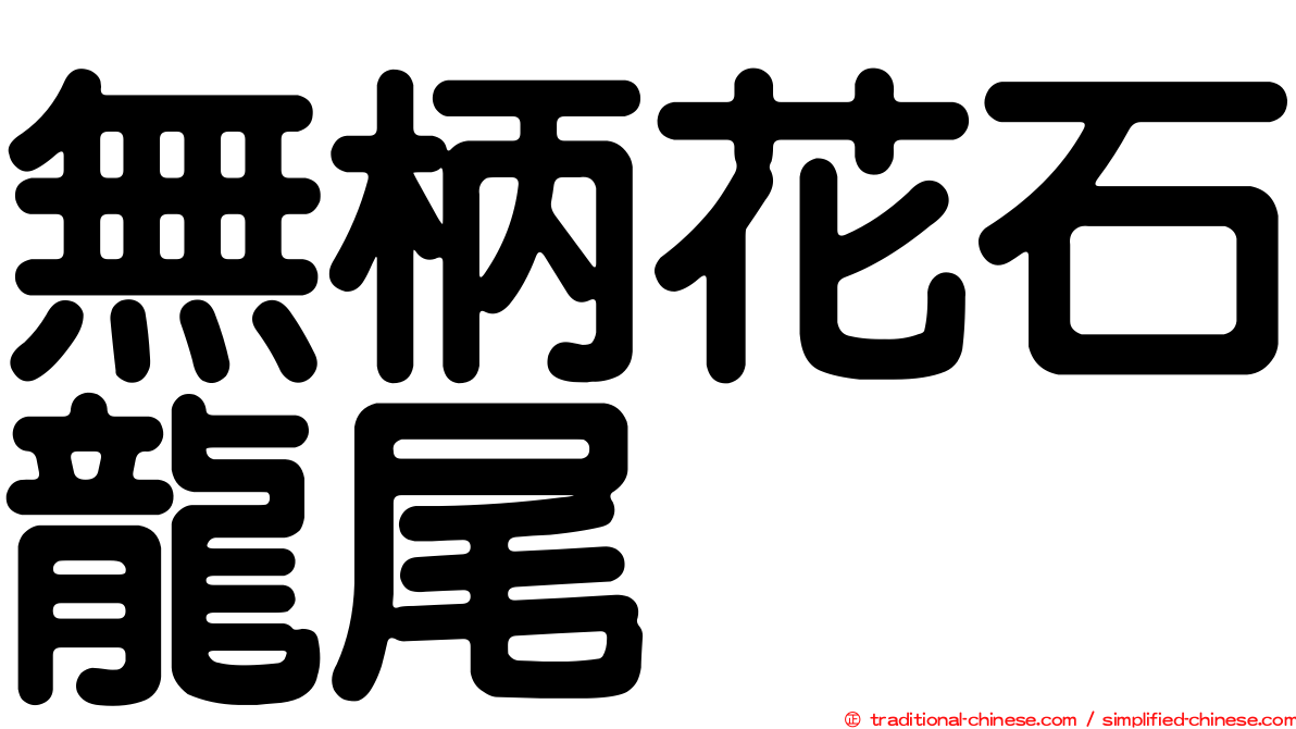 無柄花石龍尾