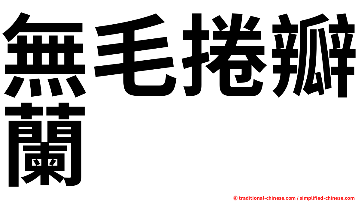 無毛捲瓣蘭