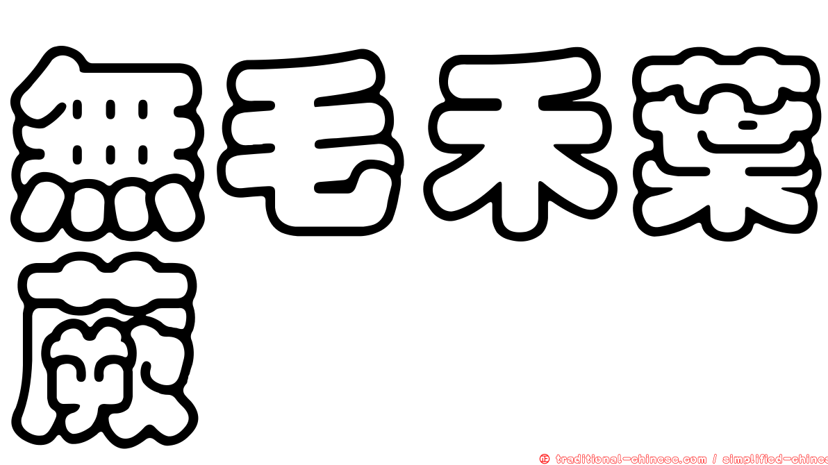 無毛禾葉蕨