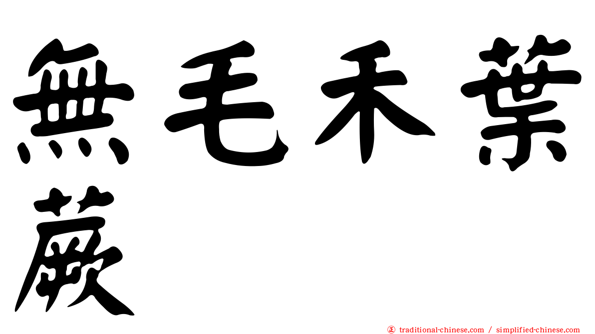 無毛禾葉蕨