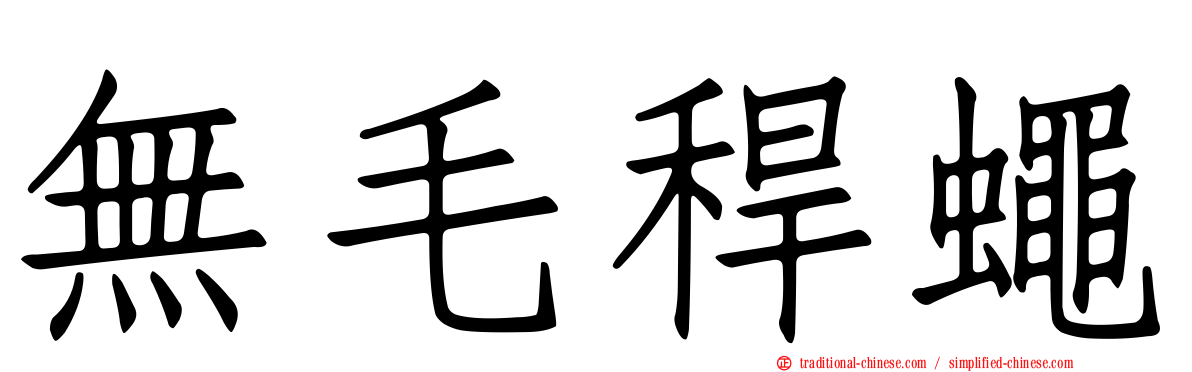無毛稈蠅