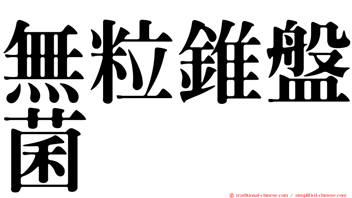 無粒錐盤菌