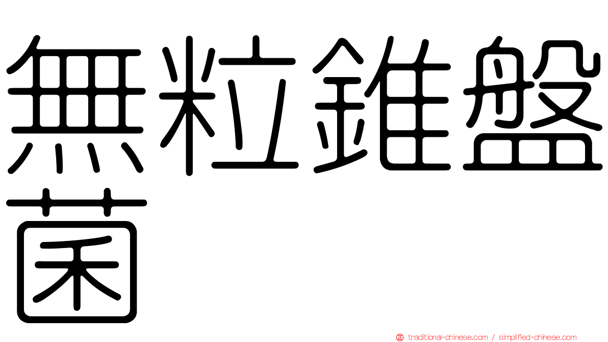 無粒錐盤菌