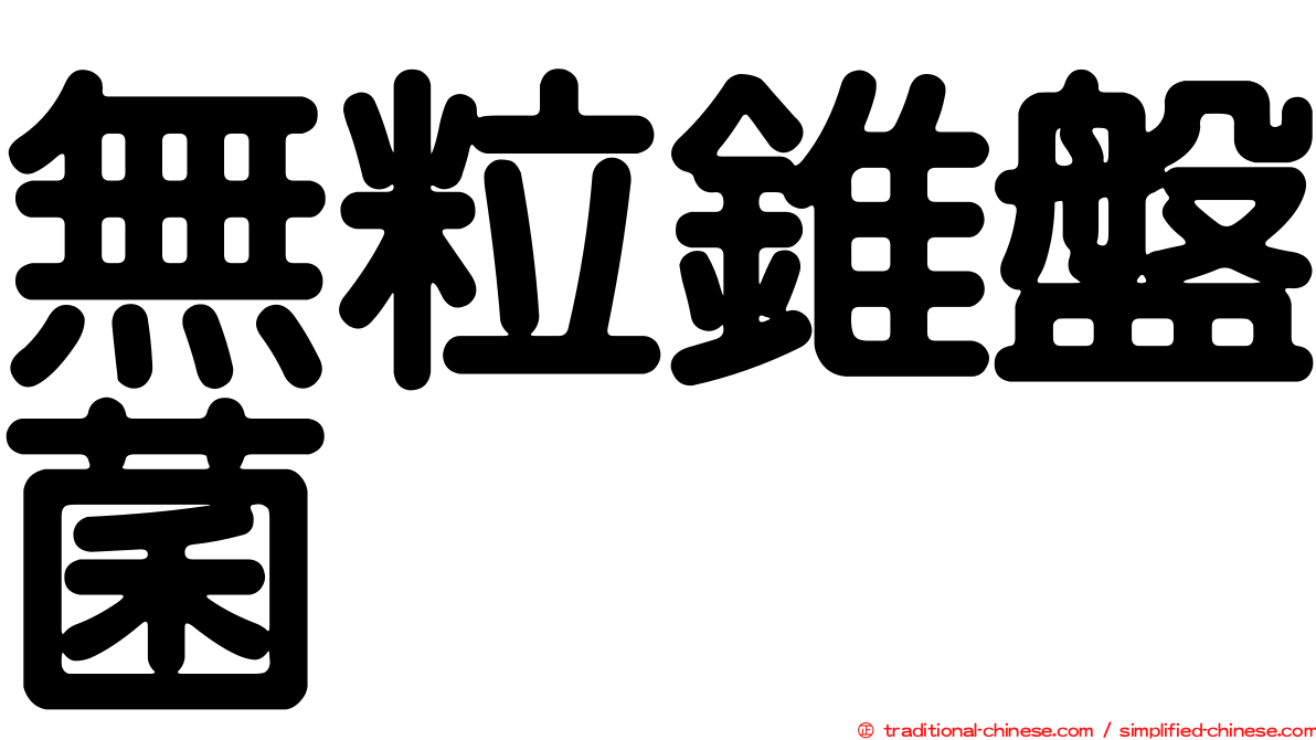 無粒錐盤菌