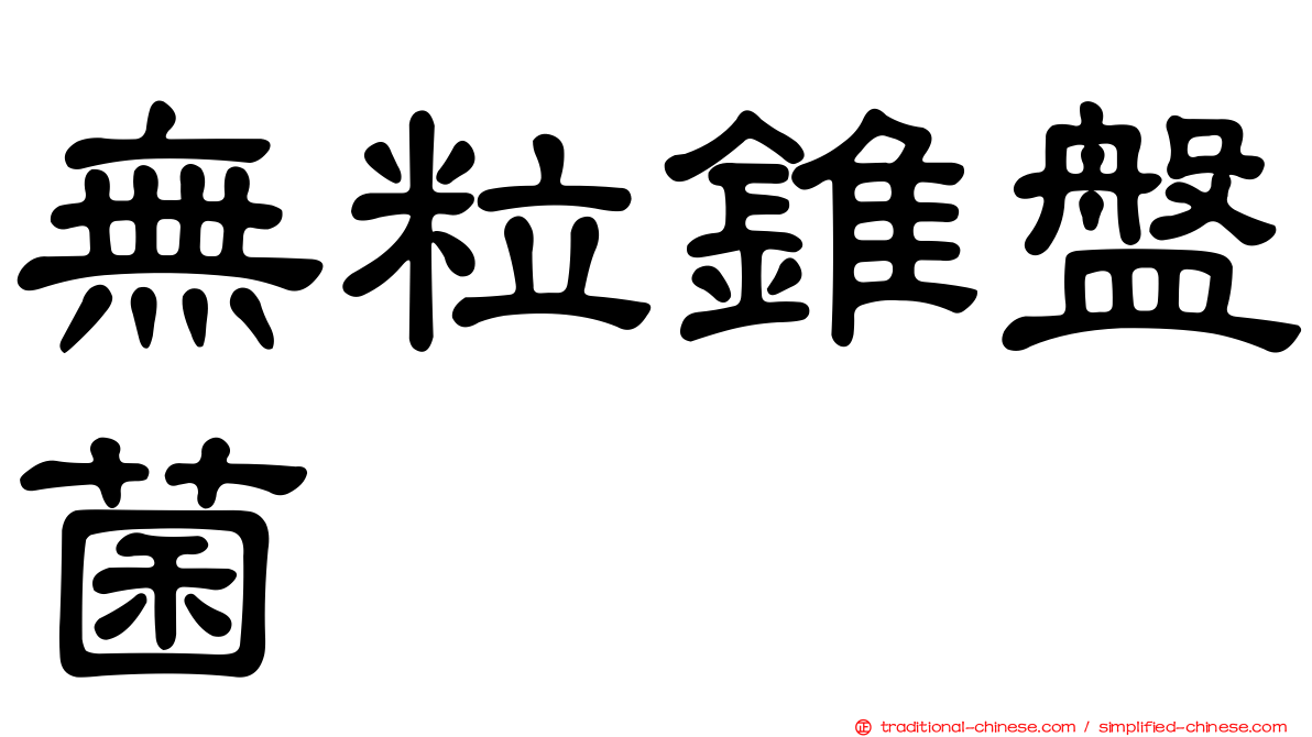 無粒錐盤菌