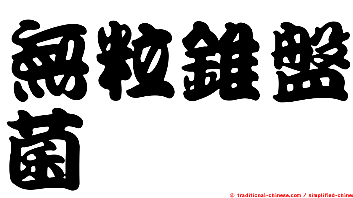 無粒錐盤菌