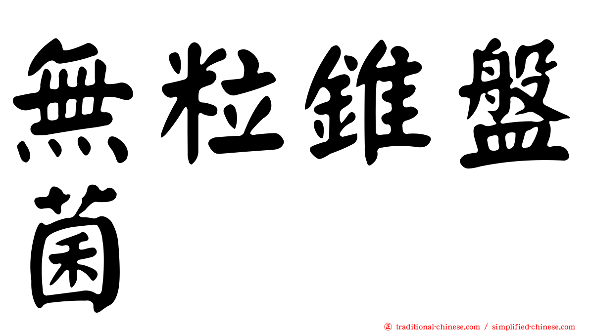 無粒錐盤菌